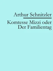 Arthur Schnitzler - Komtesse Mizzi oder Der Familientag