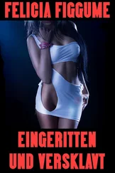 Felicia Figgume - Eingeritten und versklavt