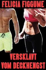 Felicia Figgume - Versklavt vom Deckhengst