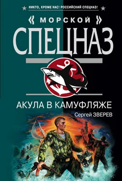 Сергей Зверев Акула в камуфляже обложка книги