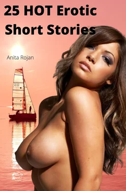 Anita Rojan 25 HOT Erotic Short Stories обложка книги