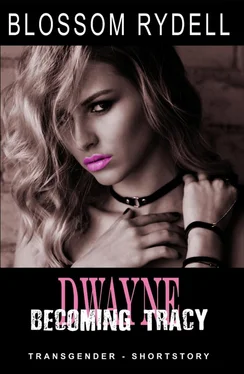 Blossom Rydell Dwayne - Becoming Tracy обложка книги