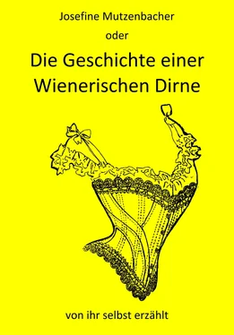 Josefine Mutzenbacher Josefine Mutzenbacher oder Die Geschichte einer Wienerischen Dirne von ihr selbst erzählt обложка книги