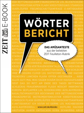 DIE ZEIT Wörterbericht обложка книги