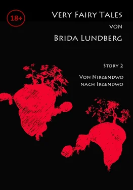 Brida Lundberg Von Nirgendwo nach Irgendwo обложка книги