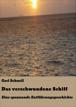 Geri Schnell Das verschwundene Schiff обложка книги