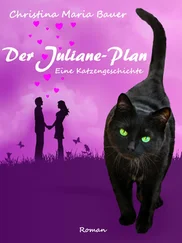 Christina Maria Bauer - Der Juliane-Plan