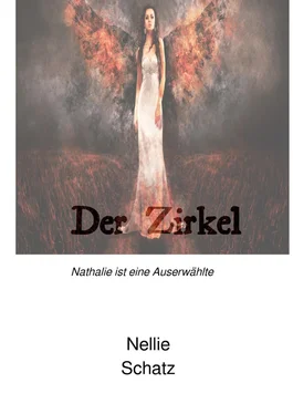 Nellie Schatz Der Zirkel обложка книги