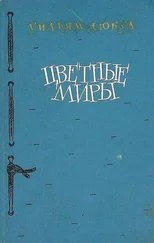 Уильям Дюбуа - Цветные миры