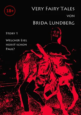 Brida Lundberg Welcher Esel heißt schon Paul? обложка книги