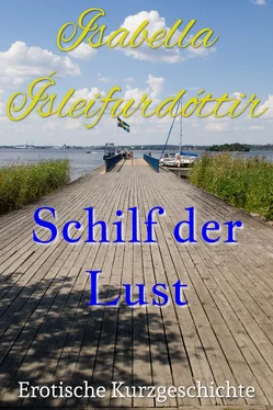 Isabella Ísleifurdóttir Schilf der Lust обложка книги