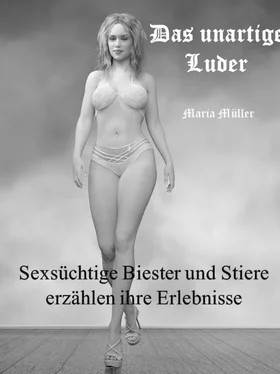 Maria Müller Das unartige Luder обложка книги