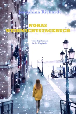 Josephina Richardt Noras Weihnachtstagebuch обложка книги