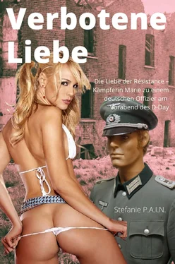 Stefanie P.A.I.N Verbotene Liebe обложка книги