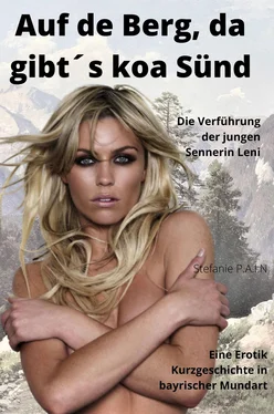 Stefanie P.A.I.N AUF DE BERG, DA GIBT´S KOA SÜND - Die Verführung der jungen Sennerin Leni обложка книги