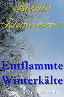 Isabella Ísleifurdóttir Entflammte Winterkälte обложка книги
