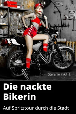 Stefanie P.A.I.N Die nackte Bikerin обложка книги