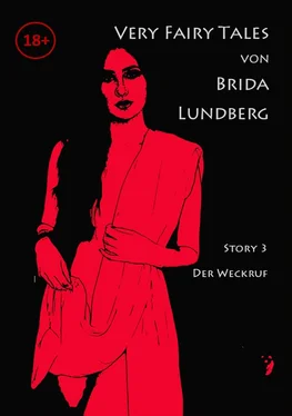Brida Lundberg Der Weckruf обложка книги