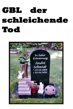 Annette Schmidt GBL der schleichende Tod обложка книги