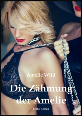 Amelie Wild Die Zähmung der Amelie обложка книги