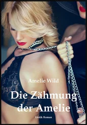 Amelie Wild - Die Zähmung der Amelie