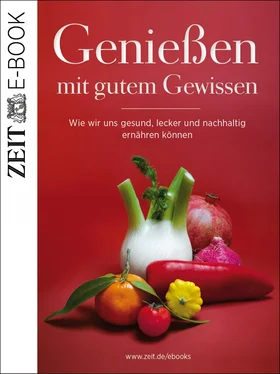 DIE ZEIT Genießen mit gutem Gewissen обложка книги