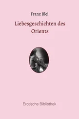 Franz Blei - Liebesgeschichten des Orients