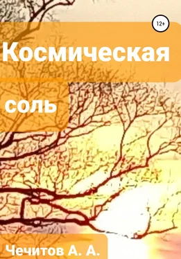 Александр Чечитов Космическая соль обложка книги