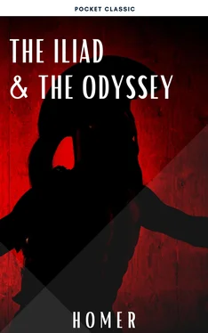 Array Homer The Iliad & The Odyssey