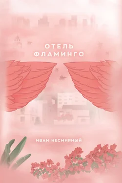 Иван Несмирный Отель Фламинго обложка книги