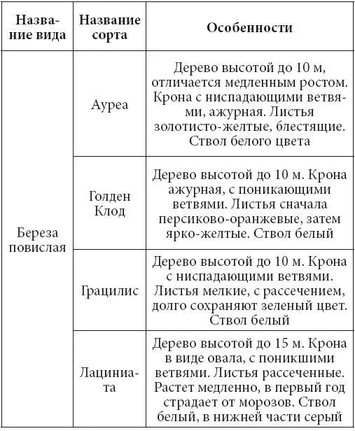 Условия произрастания Береза не слишком требовательна к почве и климатическим - фото 16