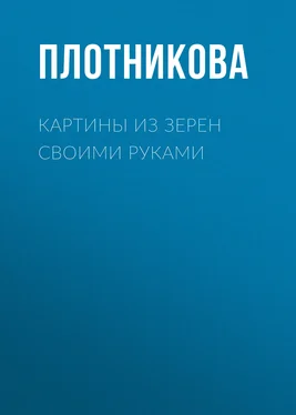 Анастасия Колпакова Картины из зерен своими руками