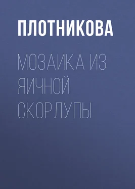 Татьяна Плотникова Мозаика из яичной скорлупы обложка книги