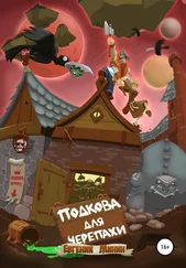 Евгений Минин - Подкова для черепахи