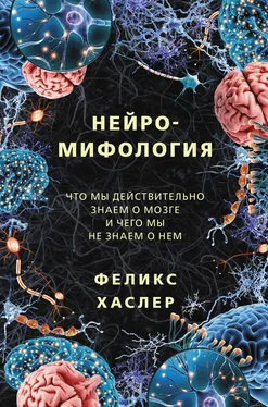 Феликс Хаслер Нейромифология. Что мы действительно знаем о мозге и чего мы не знаем о нем обложка книги