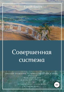 Елена Браун Совершенная система обложка книги