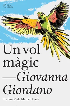 Giovanna Giordano Un vol màgic обложка книги