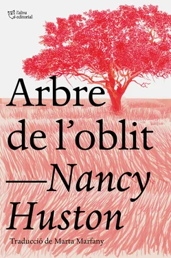 Nancy Huston Arbre de l'oblit обложка книги