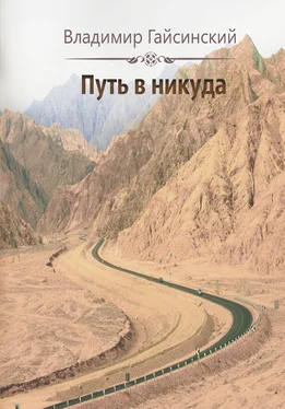 Владимир Гайсинский Путь в никуда обложка книги