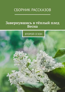 Татьяна Попова Завернувшись в тёплый плед. Весна. Второй сезон обложка книги