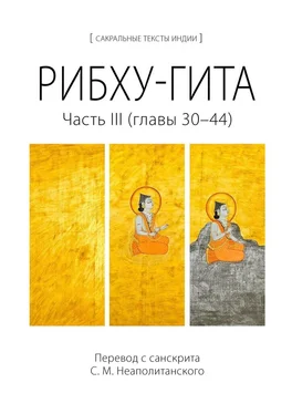 С. Неаполитанский Рибху-гита. Часть III (главы 30–44) обложка книги