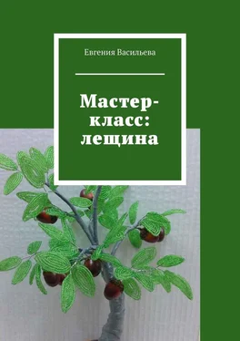 Евгения Васильева Мастер-класс: лещина обложка книги