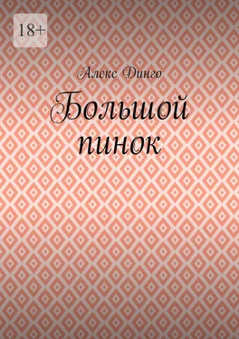 Алекс Динго Большой пинок обложка книги