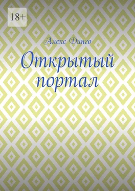 Алекс Динго Открытый портал обложка книги