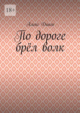 Алекс Динго По дороге брёл волк обложка книги