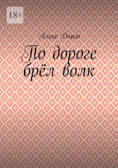 Алекс Динго - По дороге брёл волк