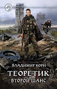 Владимир Корн Теоретик. Второй шанс обложка книги