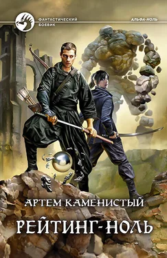 Артем Каменистый Рейтинг-ноль обложка книги