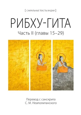 С. Неаполитанский Рибху-гита. Часть II (главы 15–29) обложка книги