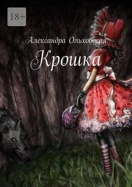 Александра Ольховская Крошка обложка книги